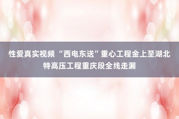 性爱真实视频 “西电东送”重心工程金上至湖北特高压工程重庆段全线走漏