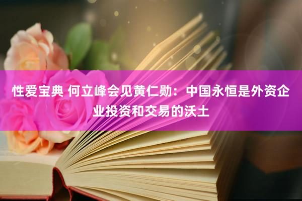 性爱宝典 何立峰会见黄仁勋：中国永恒是外资企业投资和交易的沃土