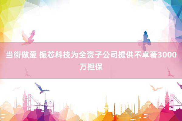 当街做爱 振芯科技为全资子公司提供不卓著3000万担保