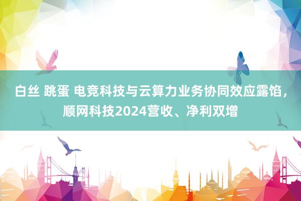 白丝 跳蛋 电竞科技与云算力业务协同效应露馅，顺网科技2024营收、净利双增