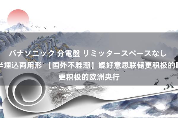 パナソニック 分電盤 リミッタースペースなし 露出・半埋込両用形 【国外不雅潮】媲好意思联储更积极的欧洲央行