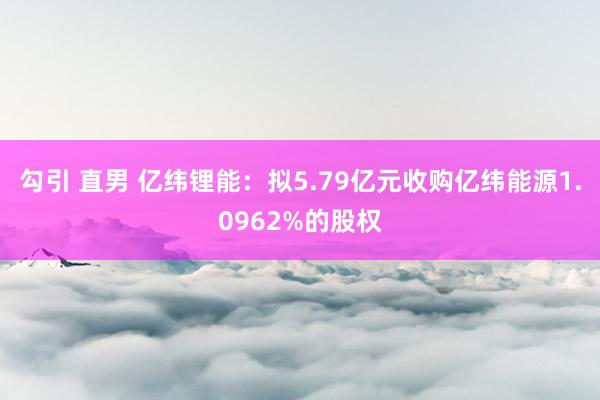 勾引 直男 亿纬锂能：拟5.79亿元收购亿纬能源1.0962%的股权
