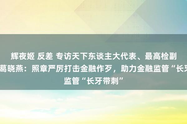 辉夜姬 反差 专访天下东谈主大代表、最高检副寻查长葛晓燕：照章严厉打击金融作歹，助力金融监管“长牙带刺”