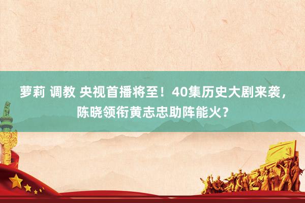 萝莉 调教 央视首播将至！40集历史大剧来袭，陈晓领衔黄志忠助阵能火？