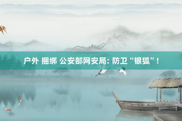 户外 捆绑 公安部网安局: 防卫“银狐”!