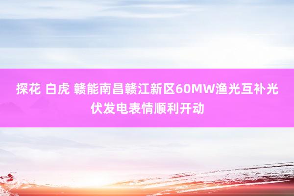 探花 白虎 赣能南昌赣江新区60MW渔光互补光伏发电表情顺利开动
